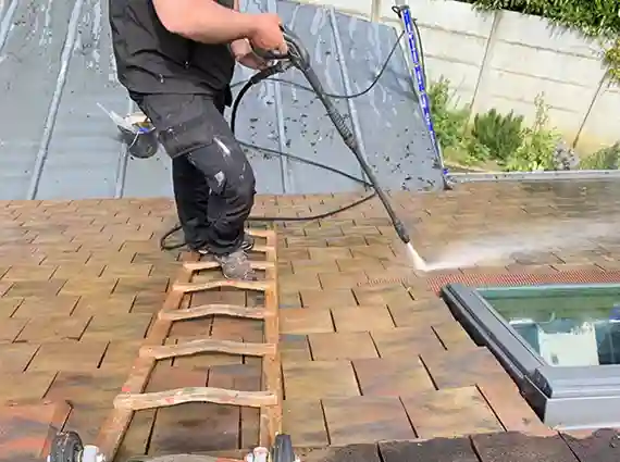 nettoyage toiture 92