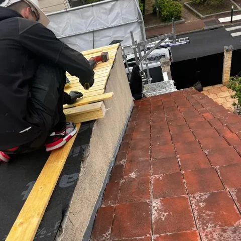 chagement chien assis nanterre